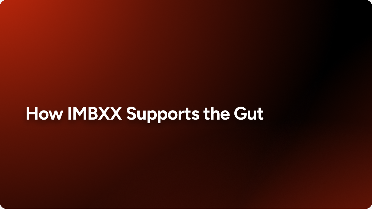 How IMBXX Supports the Gut-Brain Axis to Help Relieve Fibromyalgia Symptoms